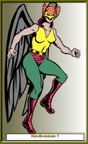 hawkwoman1.jpg