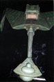 pic7