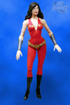 Donna Troy: Wonder Girl - DC Direct