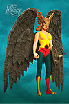 Hawkgirl - DC Direct