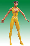 Vixen - DC Direct