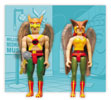 Hawkman & Hawkgirl - DC Direct