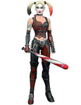 Harley Quinn - DC Universe Batman Legacy