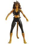 Cheetah Modern - DC Universe Classics