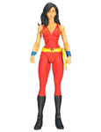 Donna Troy - DC Universe Classics