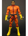 Bronze Tiger - DC Universe Classics