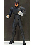 Wildcat - DC Universe Classics