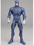 Wildcat - DC Universe Classics